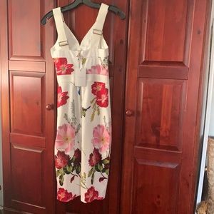 Brand new Ted Baker dress